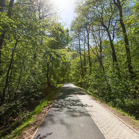 Blue Mare Polanki Klonowa Behappy 350 M Baltic Sea Kolobrzeg